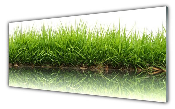 Tablou pe sticla Iarbă Natura verde