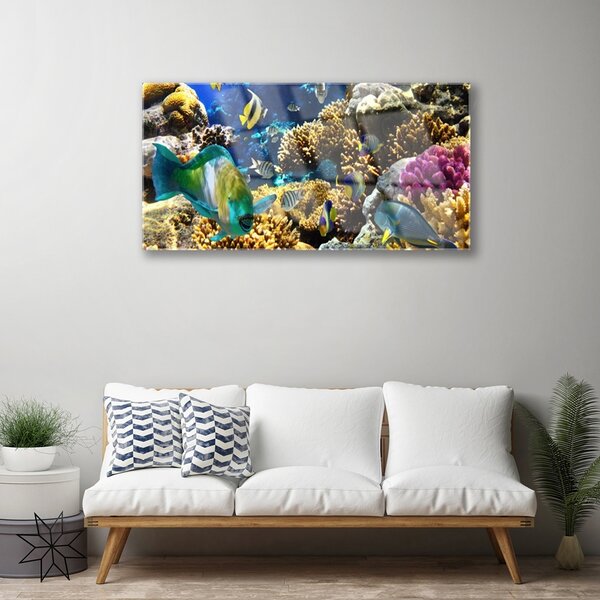 Tablouri acrilice Coral Reef Natura Multi