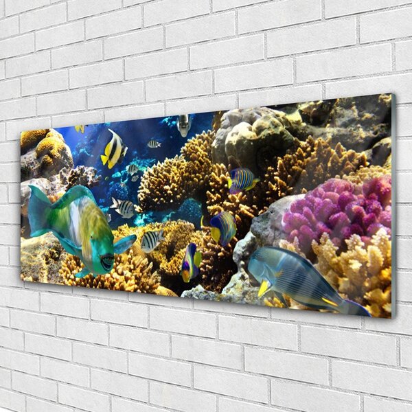 Tablouri acrilice Coral Reef Natura Multi