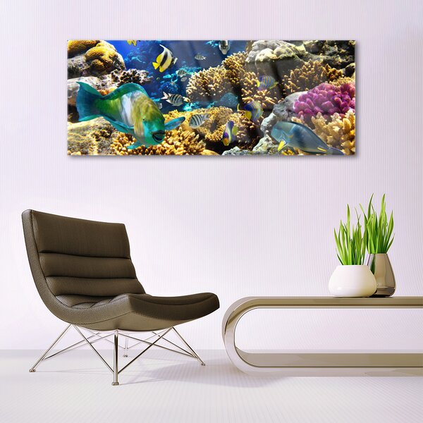 Tablouri acrilice Coral Reef Natura Multi