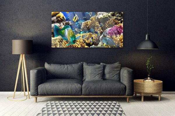 Tablouri acrilice Coral Reef Natura Multi