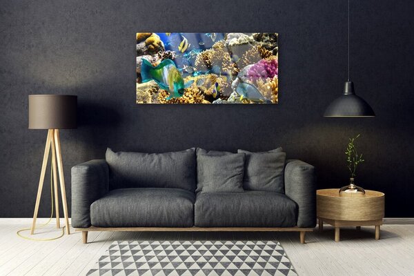 Tablouri acrilice Coral Reef Natura Multi