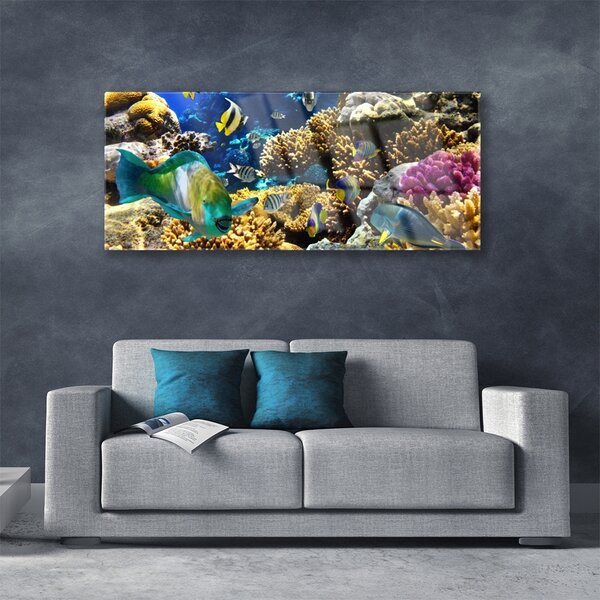 Tablouri acrilice Coral Reef Natura Multi