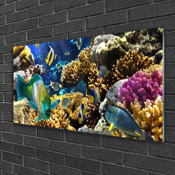 Tablouri acrilice Coral Reef Natura Multi