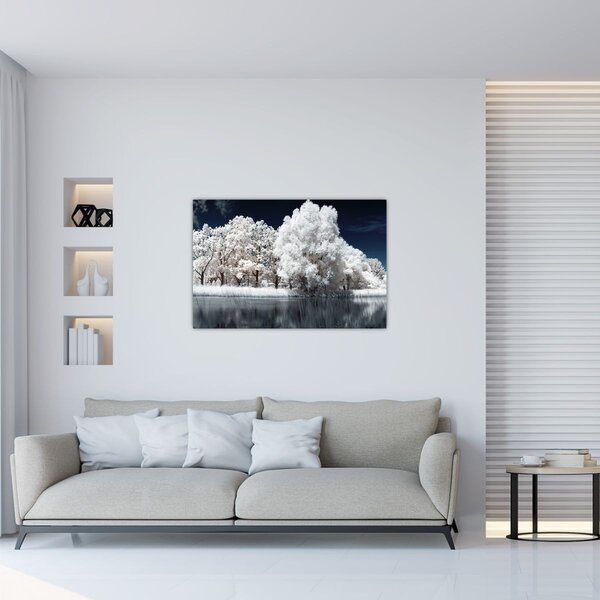 Tablou - Albă ca Zăpada Albă ca Zăpada Copaci (90x60 cm)