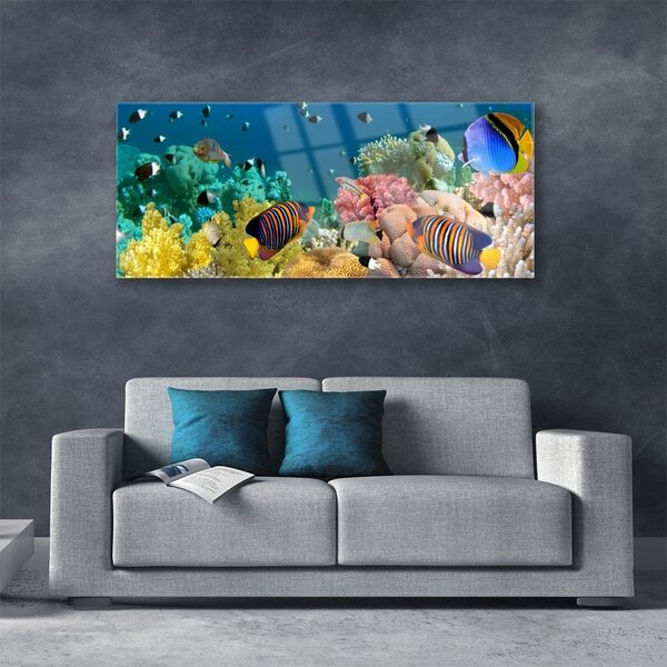 Tablou pe sticla Coral Reef Natura Multi