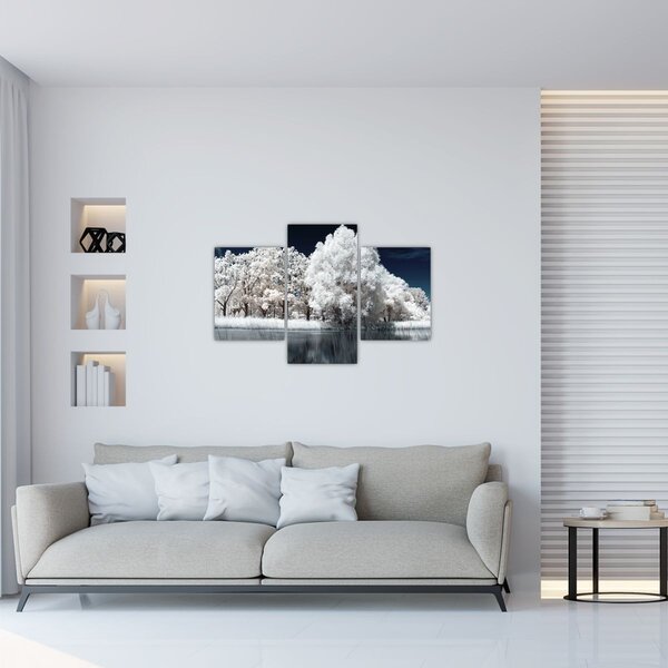 Tablou - Albă ca Zăpada Albă ca Zăpada Copaci (90x60 cm)