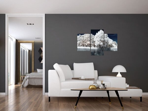 Tablou - Albă ca Zăpada Albă ca Zăpada Copaci (90x60 cm)