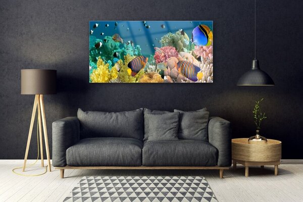 Tablou pe sticla Coral Reef Natura Multi