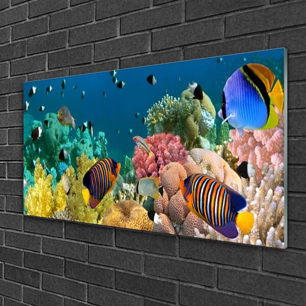 Tablou pe sticla Coral Reef Natura Multi