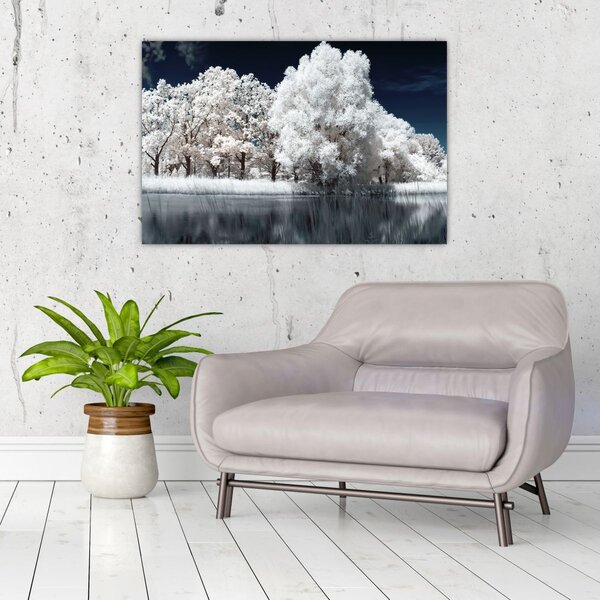 Tablou - Albă ca Zăpada Albă ca Zăpada Copaci (90x60 cm)