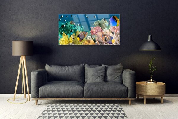 Tablou pe sticla Coral Reef Natura Multi
