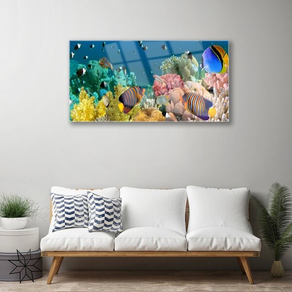 Tablou pe sticla Coral Reef Natura Multi