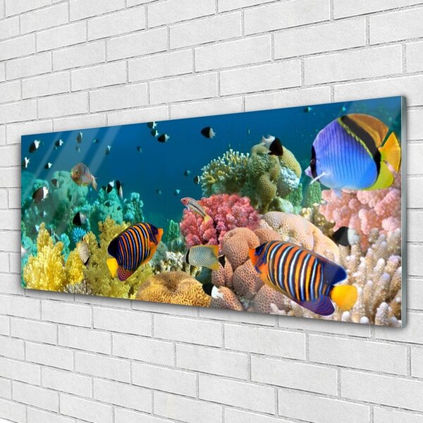 Tablou pe sticla Coral Reef Natura Multi