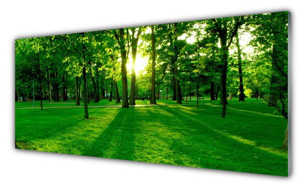 Tablouri acrilice Natural Pădurea Verde Maro
