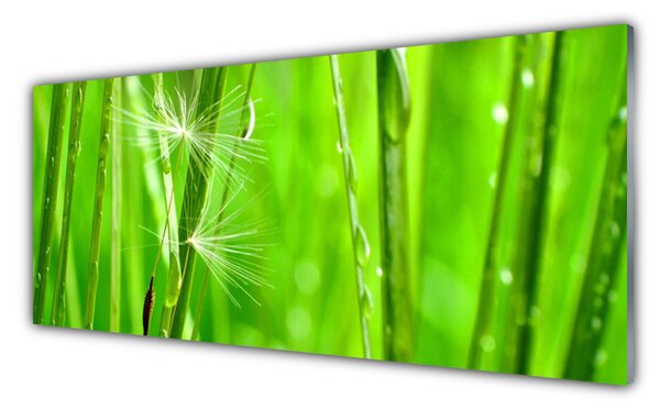 Tablou pe sticla Iarbă verde florale