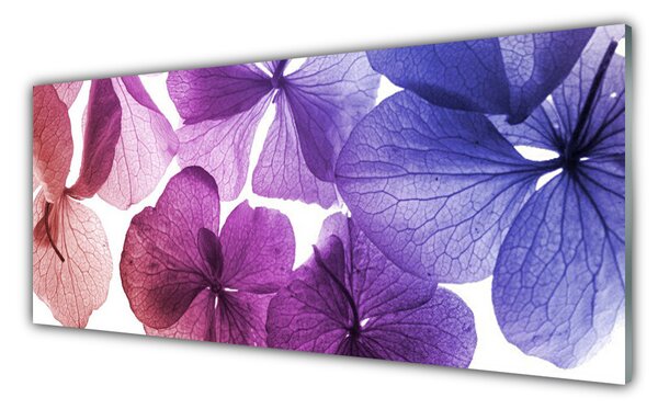 Tablou pe sticla Flori Floral Roz Violet