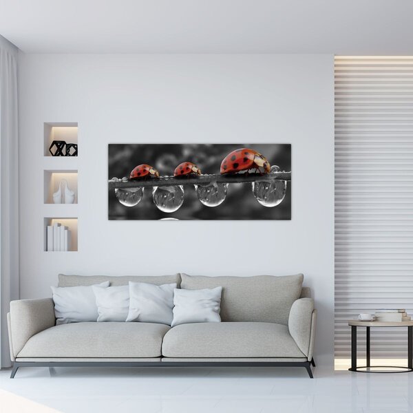 Tablou - Floarea-soarelui, alb și negru (120x50 cm)