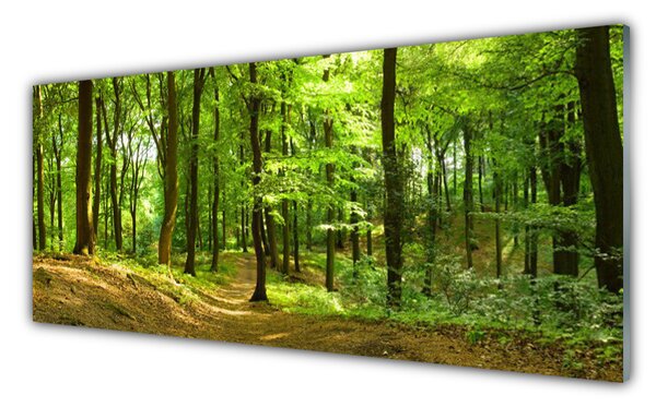 Tablouri acrilice Natural Pădurea Verde Maro