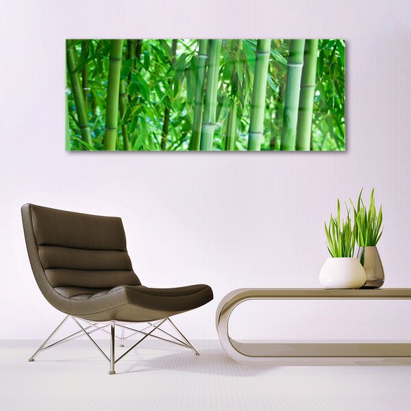 Tablou pe sticla Bamboo Peduncul Floral Verde