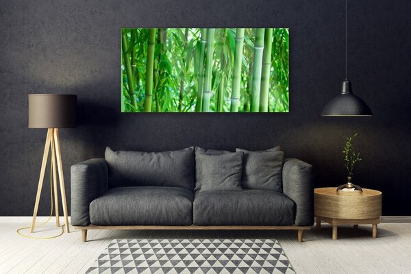Tablou pe sticla Bamboo Peduncul Floral Verde