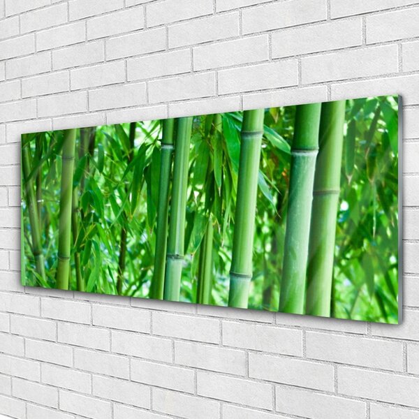 Tablou pe sticla Bamboo Peduncul Floral Verde