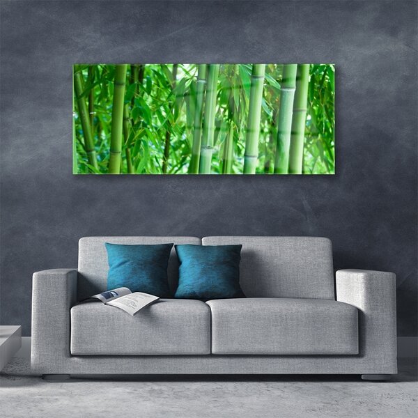 Tablou pe sticla Bamboo Peduncul Floral Verde