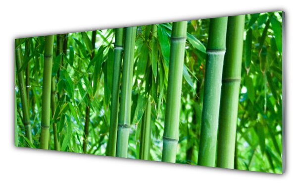 Tablou pe sticla Bamboo Peduncul Floral Verde