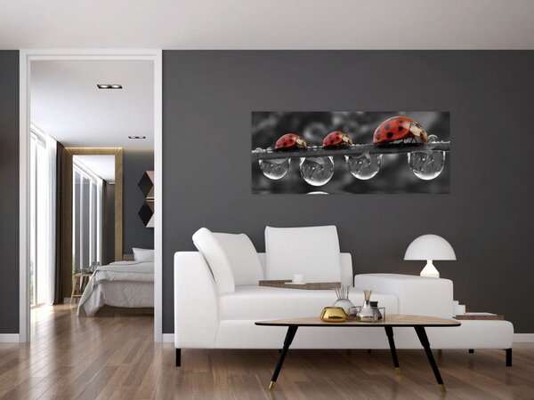 Tablou - Floarea-soarelui, alb și negru (120x50 cm)
