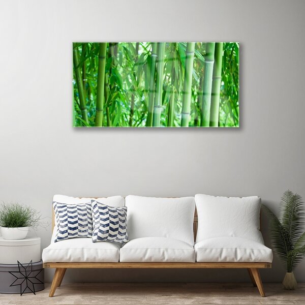 Tablou pe sticla Bamboo Peduncul Floral Verde