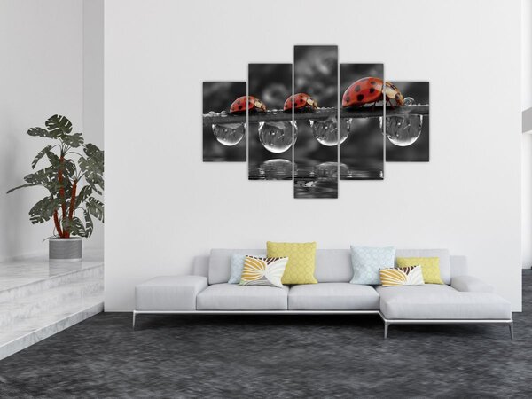 Tablou - Floarea-soarelui, alb și negru (150x105 cm)