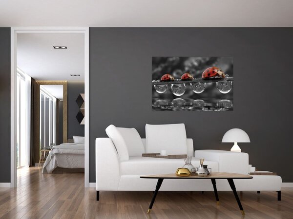 Tablou - Floarea-soarelui, alb și negru (90x60 cm)