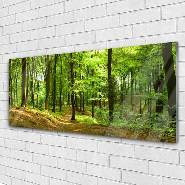 Tablouri acrilice Natural Pădurea Verde Maro