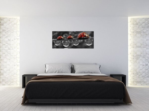 Tablou - Floarea-soarelui, alb și negru (120x50 cm)