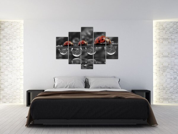 Tablou - Floarea-soarelui, alb și negru (150x105 cm)