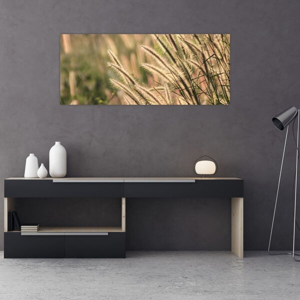 Tablou - Cereale (120x50 cm)