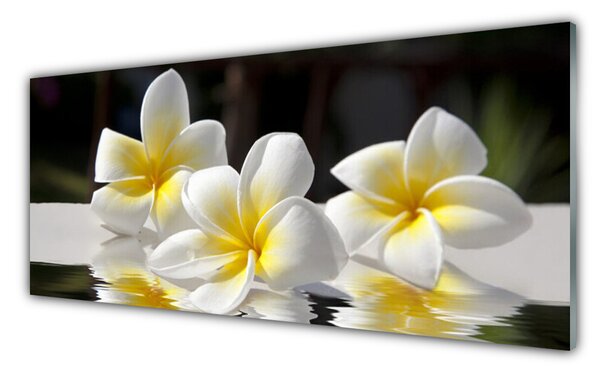 Tablou pe sticla Flori Floral Alb Galben