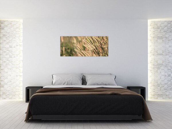 Tablou - Cereale (120x50 cm)