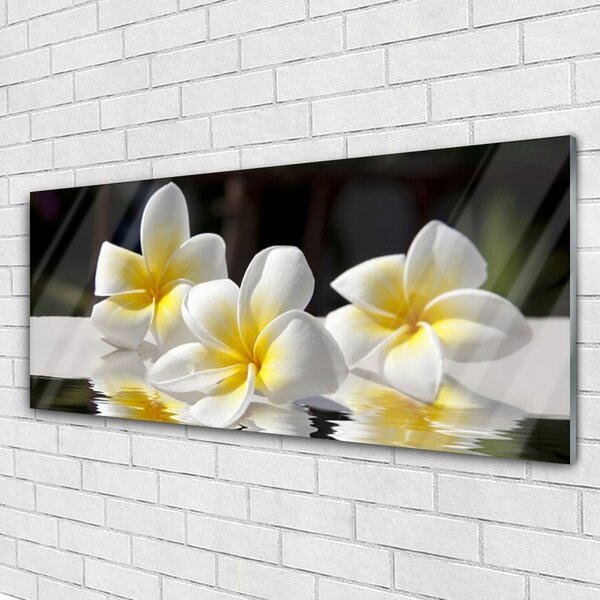 Tablou pe sticla Flori Floral Alb Galben
