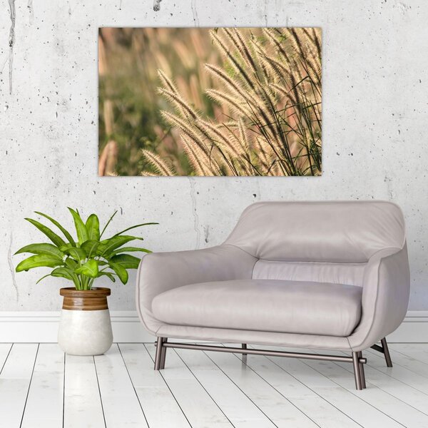 Tablou - Cereale (90x60 cm)