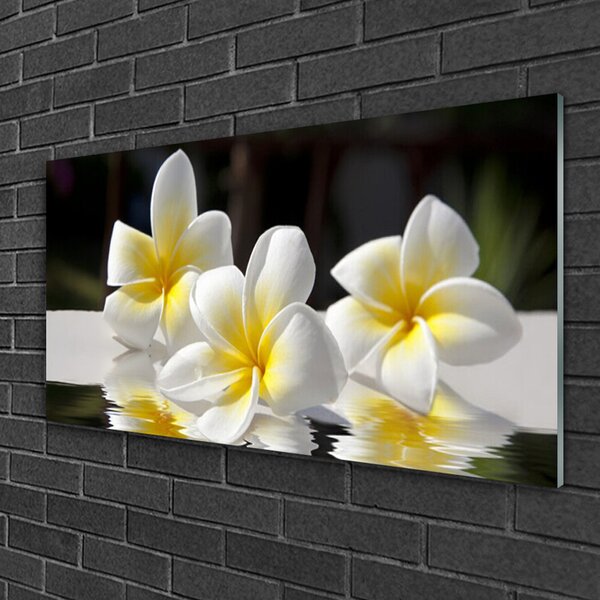 Tablou pe sticla Flori Floral Alb Galben