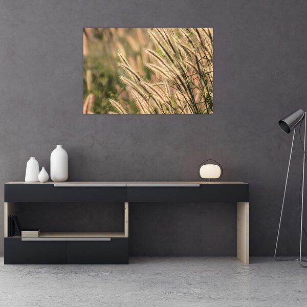 Tablou - Cereale (90x60 cm)