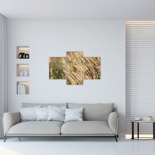 Tablou - Cereale (90x60 cm)