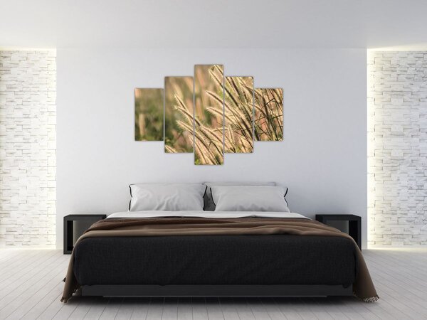 Tablou - Cereale (150x105 cm)