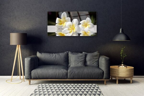 Tablou pe sticla Flori Floral Alb Galben