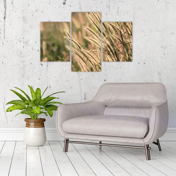 Tablou - Cereale (90x60 cm)
