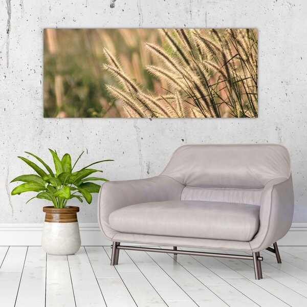 Tablou - Cereale (120x50 cm)
