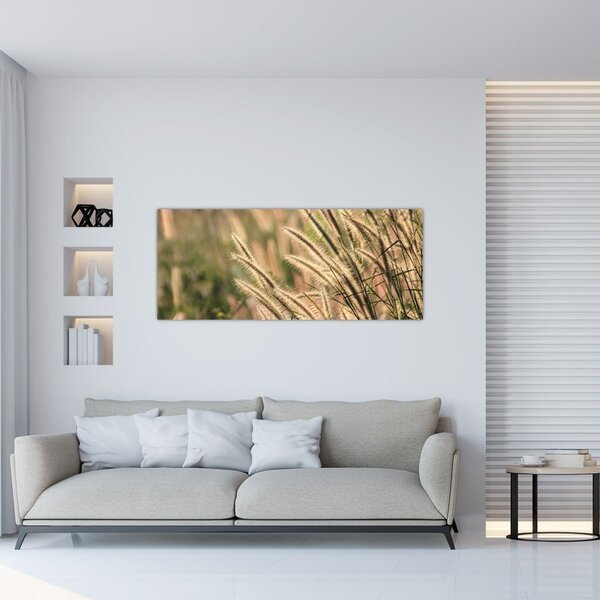 Tablou - Cereale (120x50 cm)