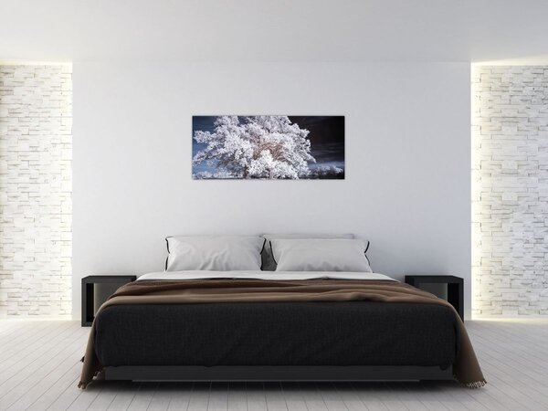 Tablou - Albă ca Zăpada Copac (120x50 cm)