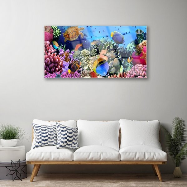 Tablouri acrilice Coral Reef Natura Multi